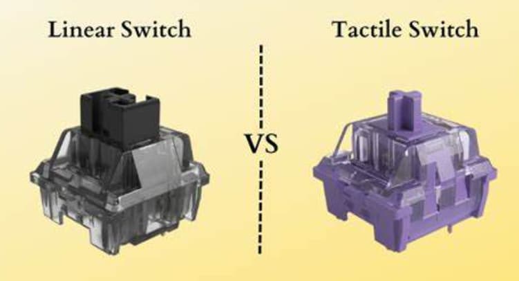  Linear vs. Tactile Key Switches